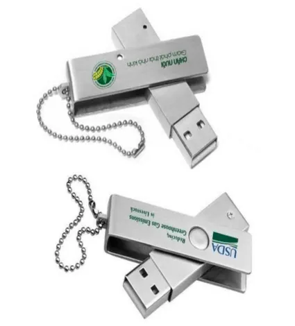 Usb in logo 1 mặt