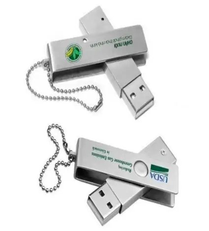 Usb in logo 1 mặt